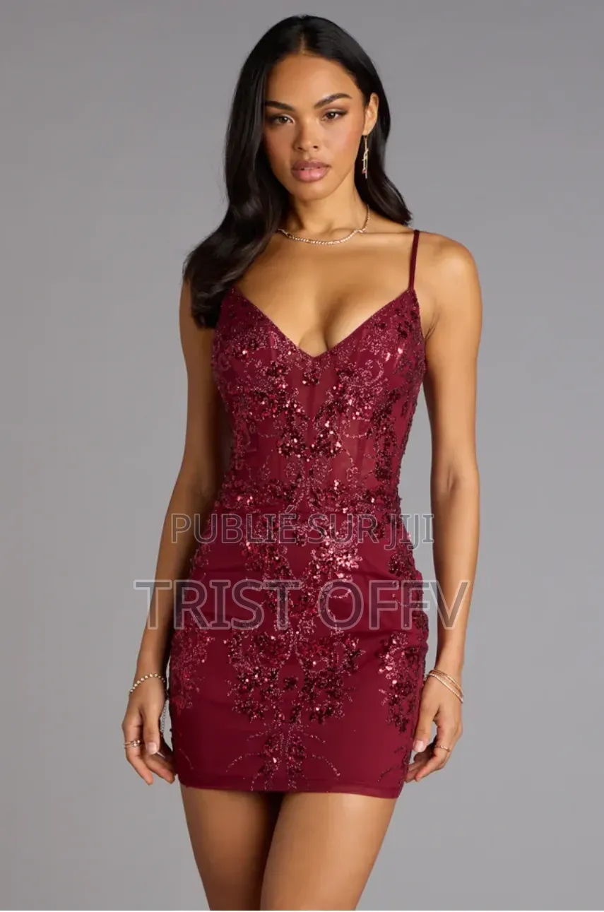 Robe Mini en Tulle Transparent À Paillettes Et Sequins