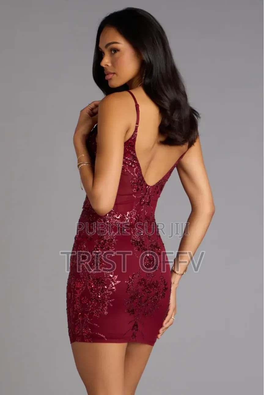 Robe Mini en Tulle Transparent À Paillettes Et Sequins