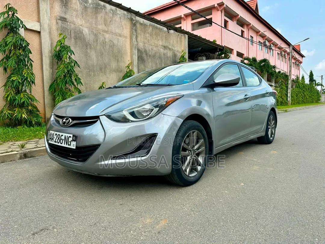 Hyundai Elantra 2017 Gris