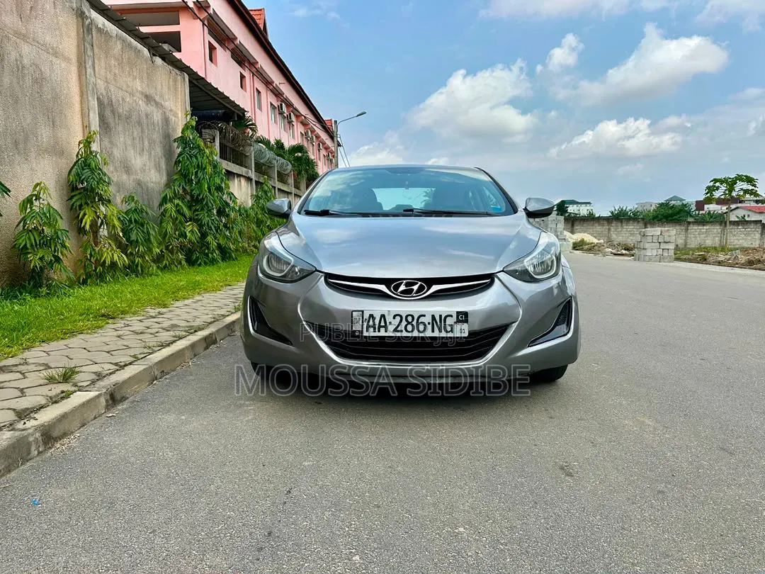 Hyundai Elantra 2017 Gris