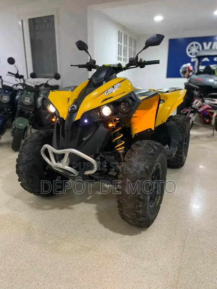 Nouveau Can-Am Autre 2014 Jaune