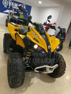 Nouveau Can-Am Autre 2014 Jaune