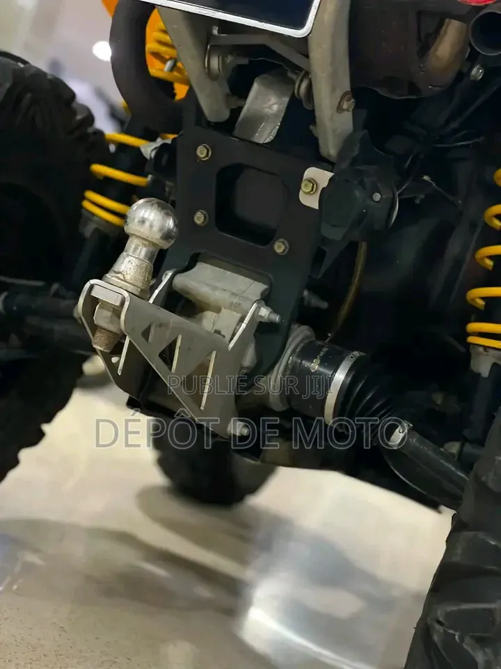 Nouveau Can-Am Autre 2014 Jaune