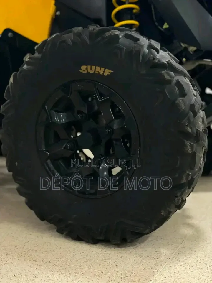 Nouveau Can-Am Autre 2014 Jaune