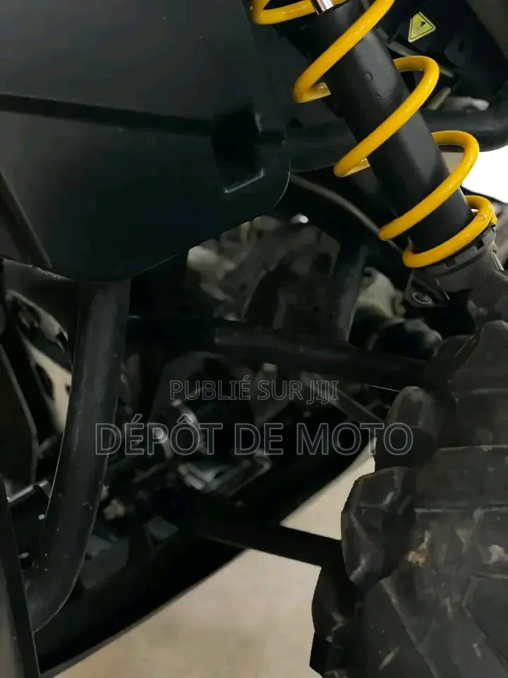 Nouveau Can-Am Autre 2014 Jaune