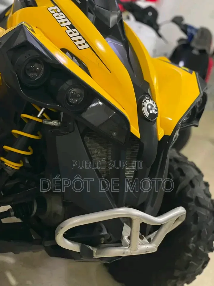 Nouveau Can-Am Autre 2014 Jaune