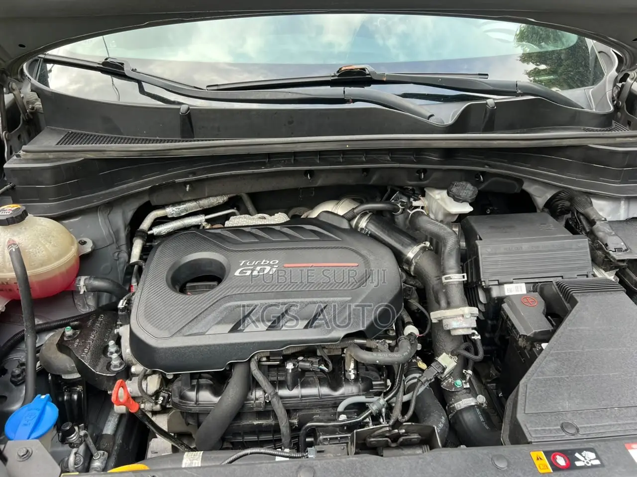 Kia Sportage SX Turbo 2021 Gris