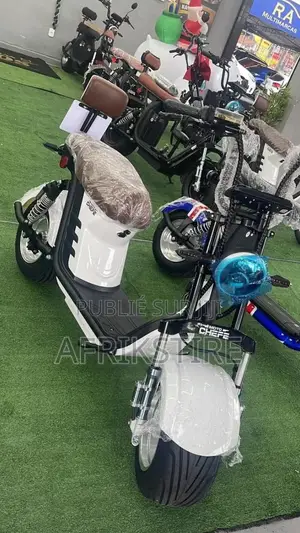 Scooter Électrique