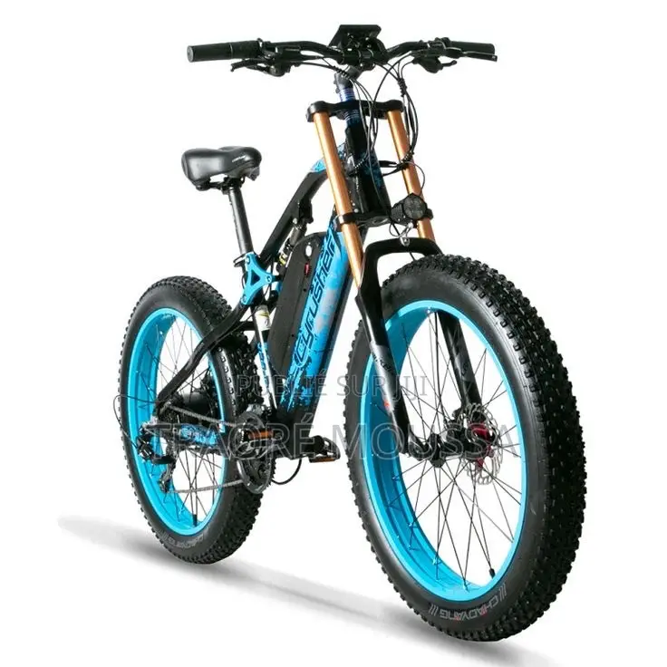 Vélo Électrique