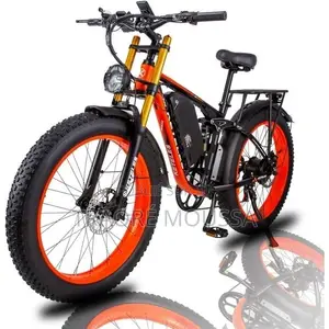 Vélo Électrique