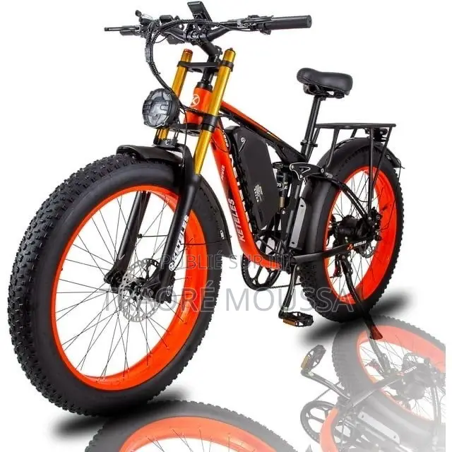 Vélo Électrique