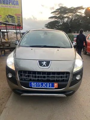 Peugeot 3008 2010 Gris