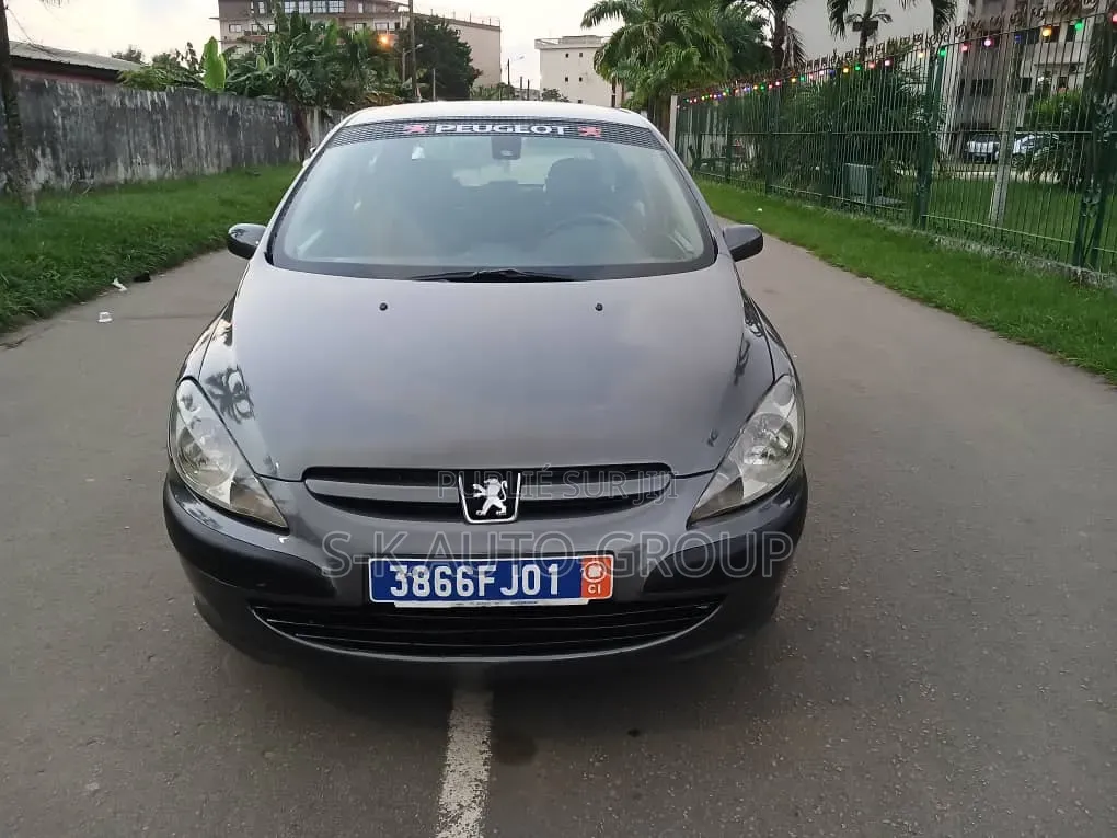 Peugeot 307 2000 Gris