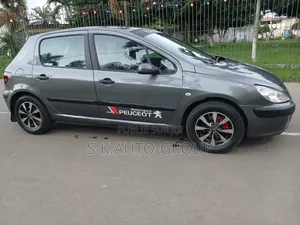 Peugeot 307 2000 Gris
