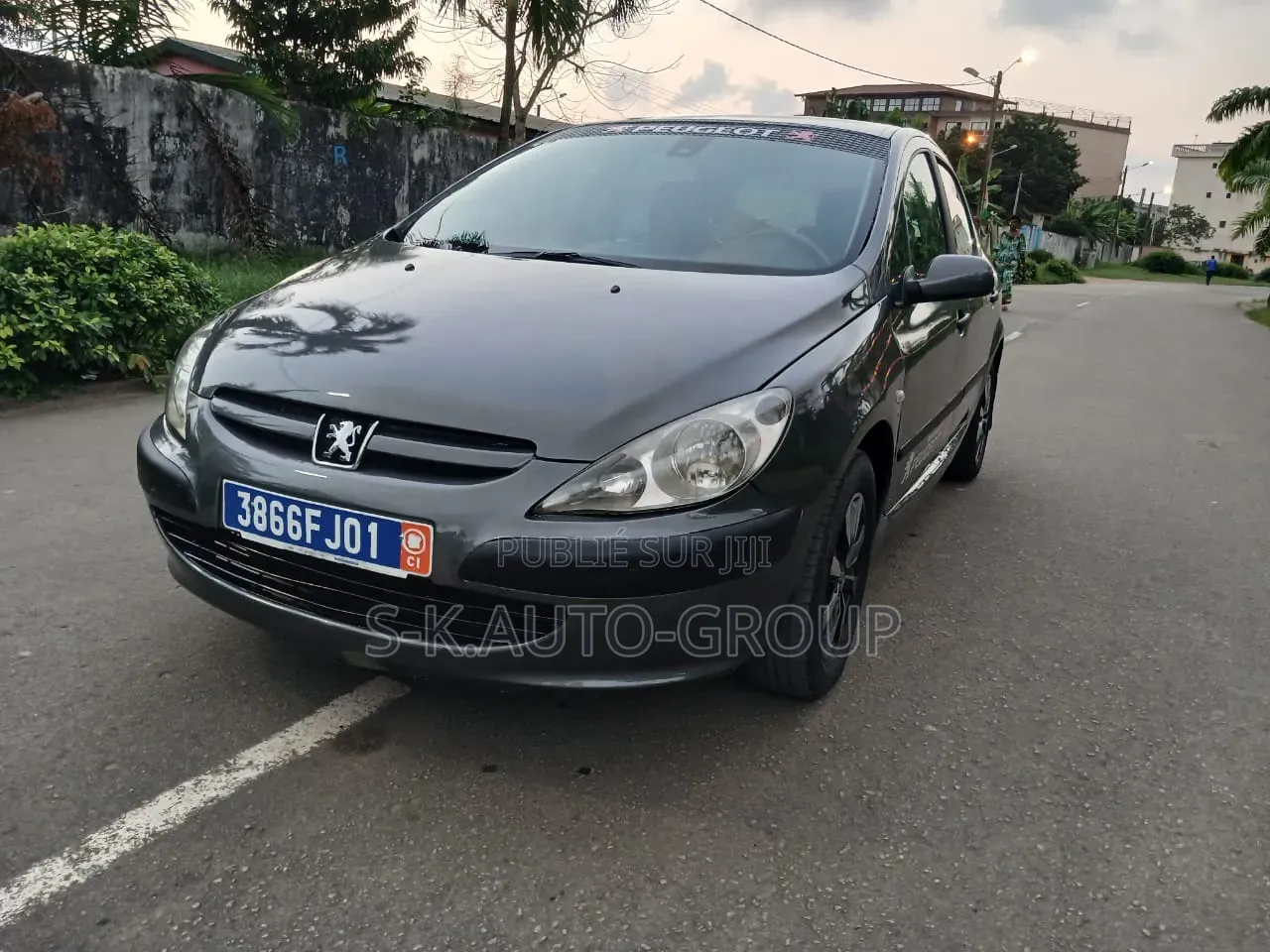 Peugeot 307 2000 Gris
