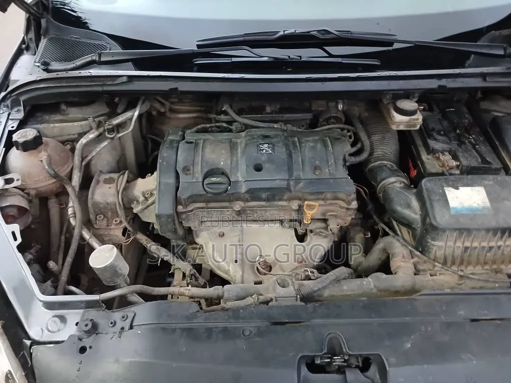 Peugeot 307 2000 Gris