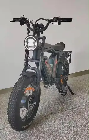 Vélo Électrique