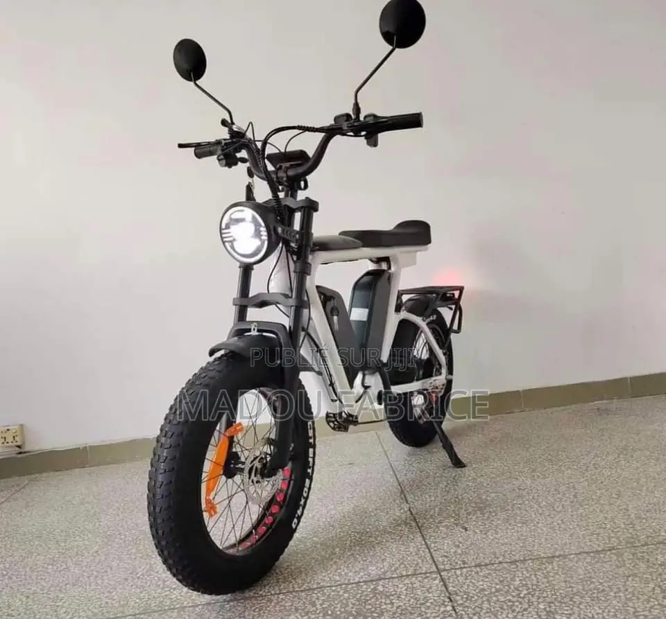 Vélo Électrique