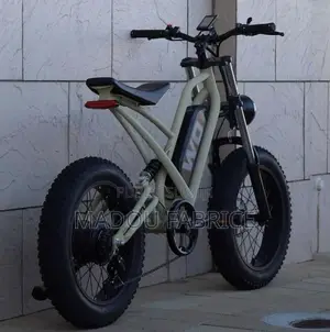 Vélo Électrique