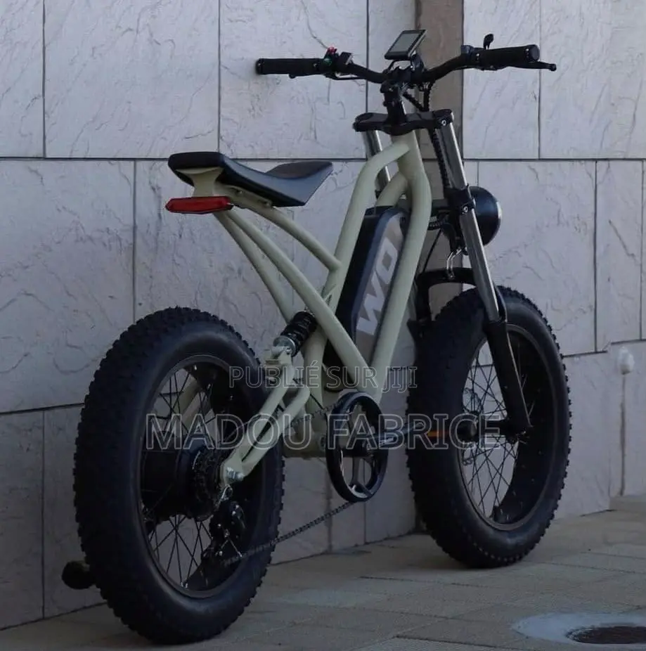 Vélo Électrique