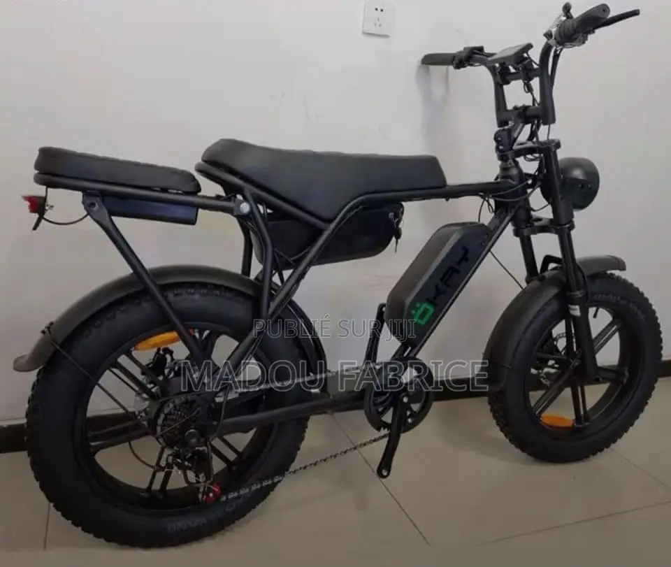 Vélo Électrique