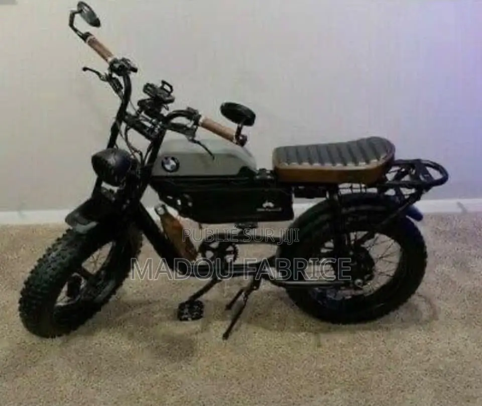 Vélo Électrique