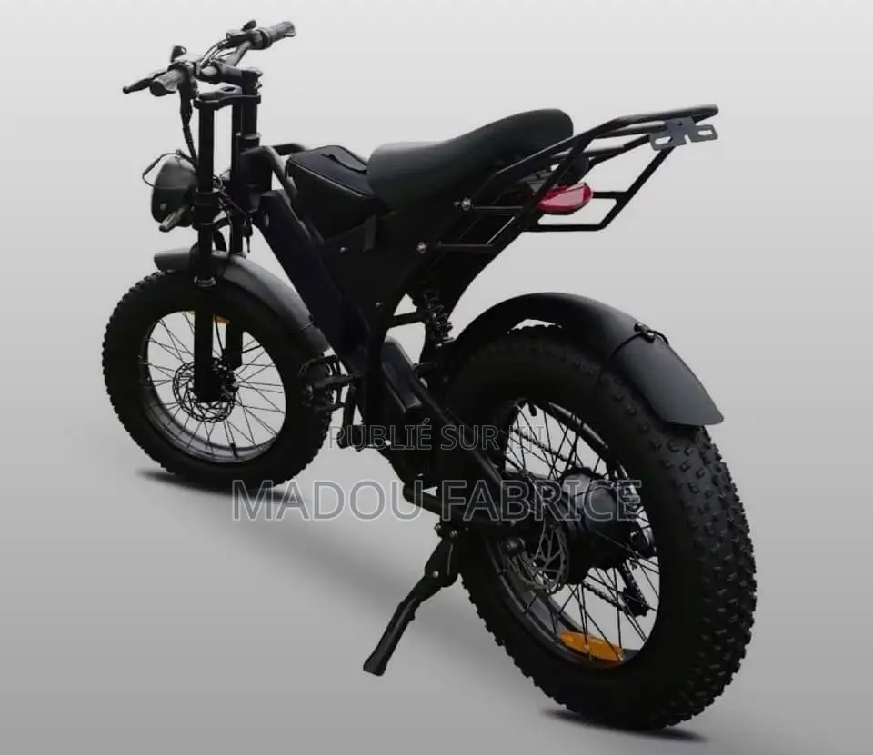 Vélo Électrique