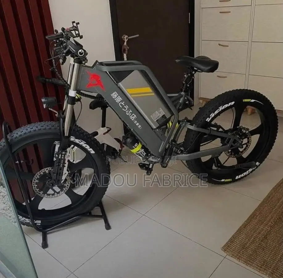 Vélo Électrique