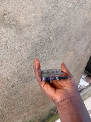 Nouveau Apple iPhone 14 Pro 128 GB Violet