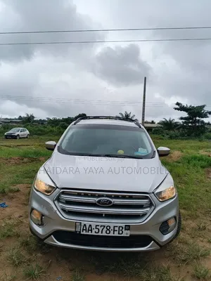 Ford Escape 2020 Gris