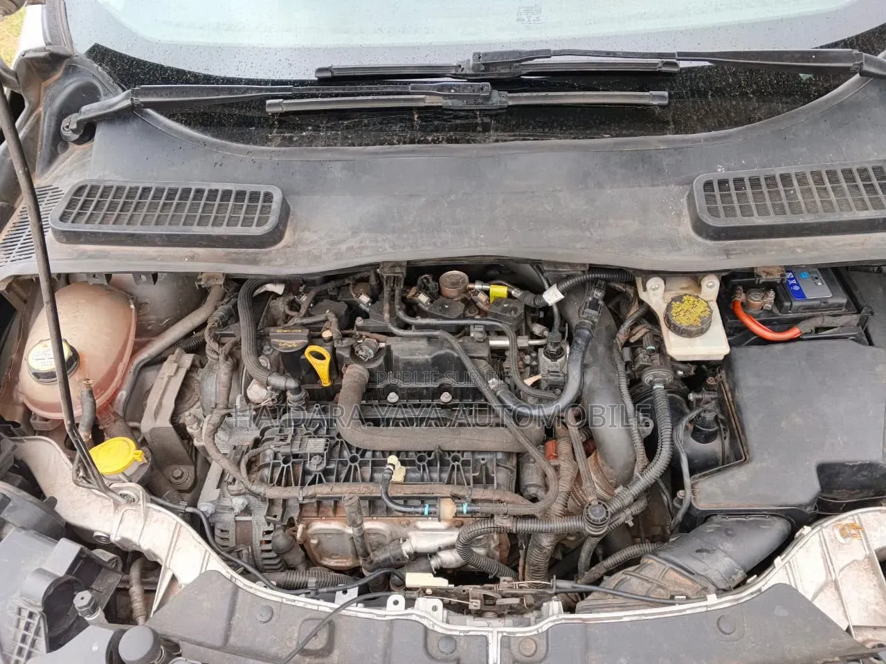Ford Escape 2020 Gris