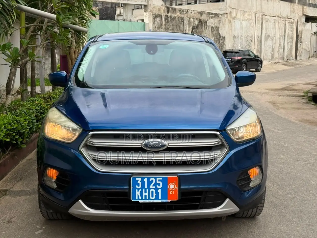Ford Escape 2017 Bleu
