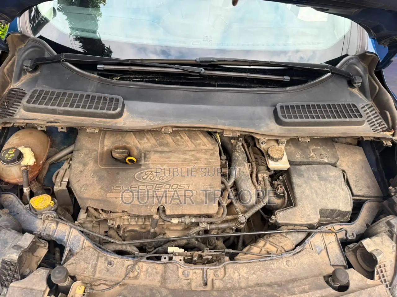 Ford Escape 2017 Bleu