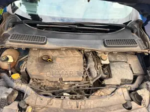Ford Escape 2017 Bleu