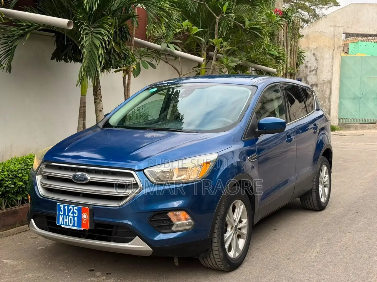 Ford Escape 2017 Bleu