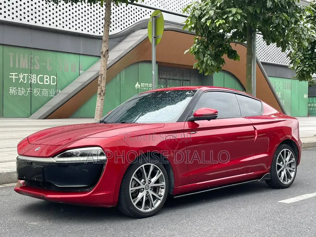 Leapmotor S01 2019 Rouge
