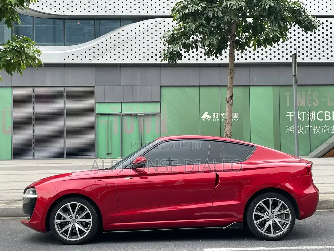 Leapmotor S01 2019 Rouge
