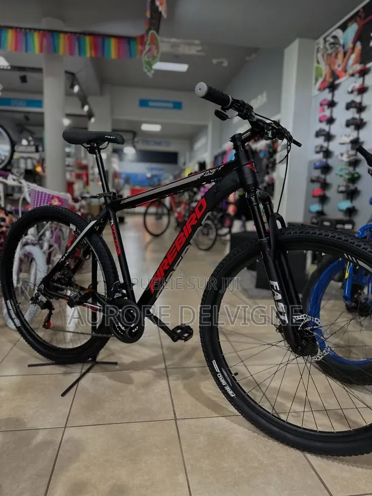 Vélo Tout Terrain
