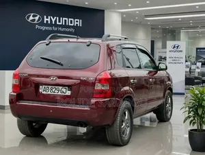 Hyundai Tucson 2009 Rouge