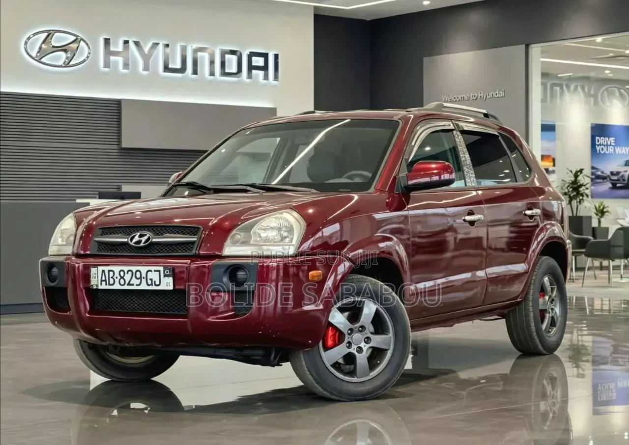 Hyundai Tucson 2009 Rouge