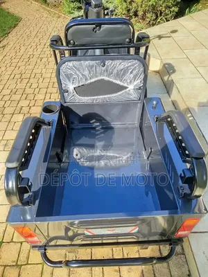 Nouveau Tricycle Autre 2025 Noir