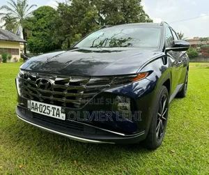 Hyundai Tucson Limited 2024 Gris