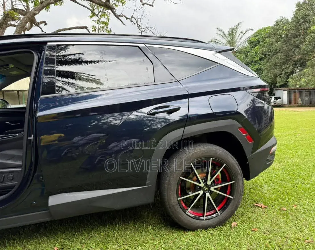 Hyundai Tucson Limited 2024 Gris