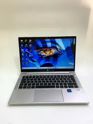 Nouveau HP ProBook 6360B 8GB Intel Core i5 SSD 256GB