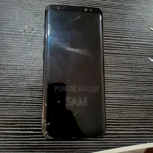 Samsung Galaxy S8 64 GB Noir