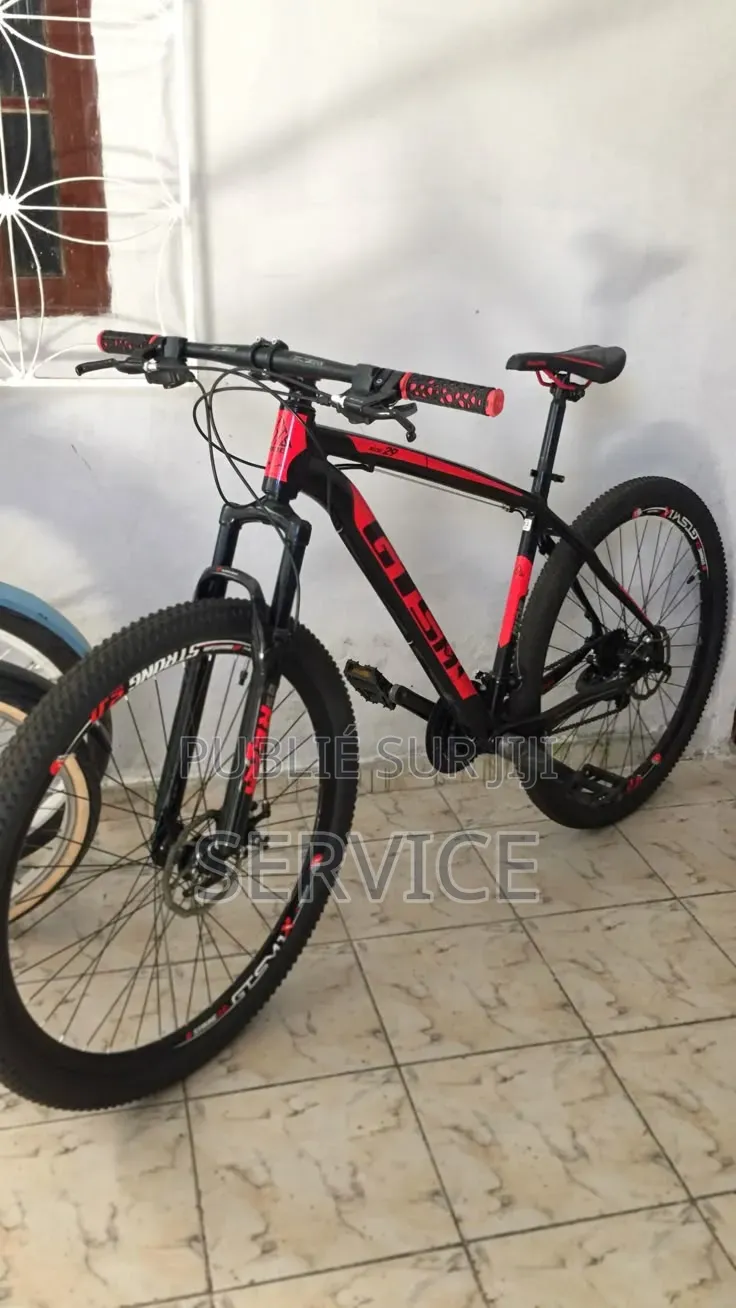Vélo Électrique