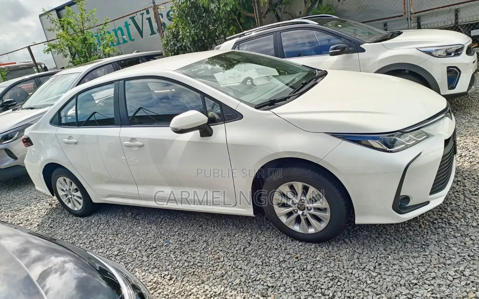 Nouveau Toyota Corolla 2026 Blanc
