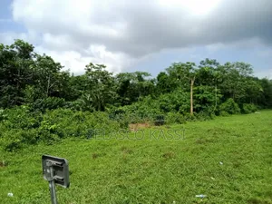 Échange De Terrain en Voiture