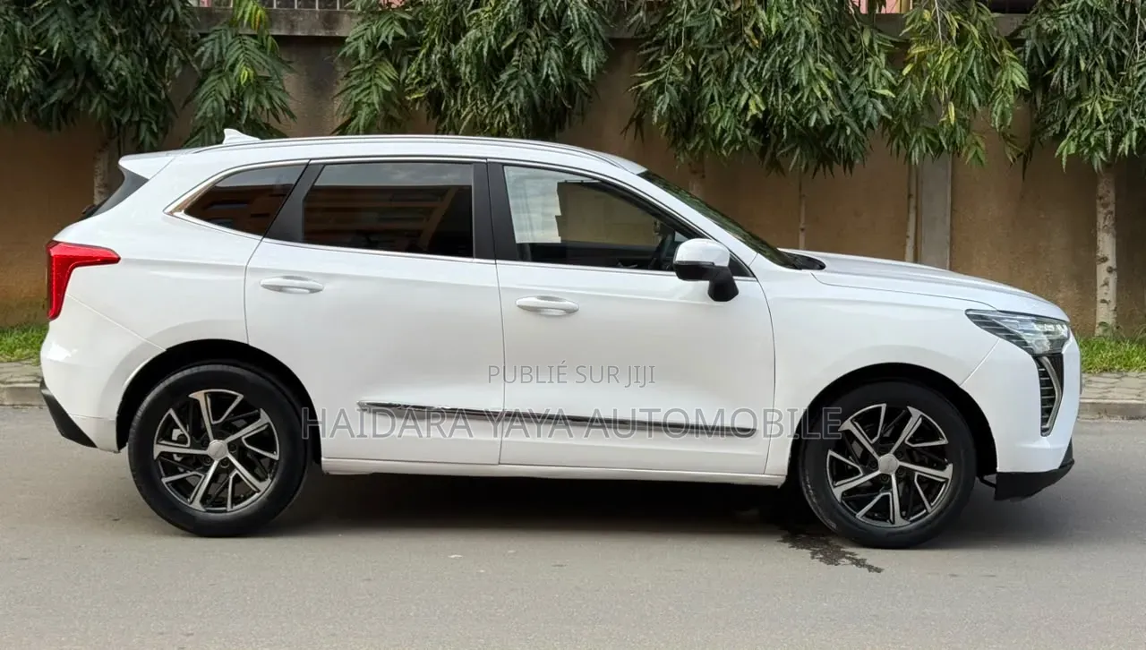 Haval Jolion 2023 Blanc