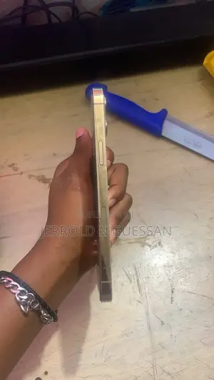 Nouveau Apple iPhone 12 Pro Max 128 GB Doré